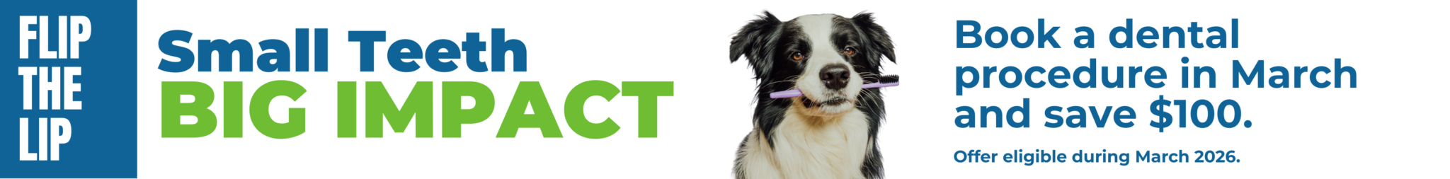 Dog Dental Banner March